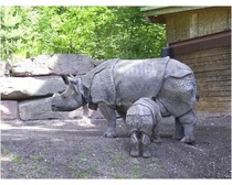 Javan Rhinos