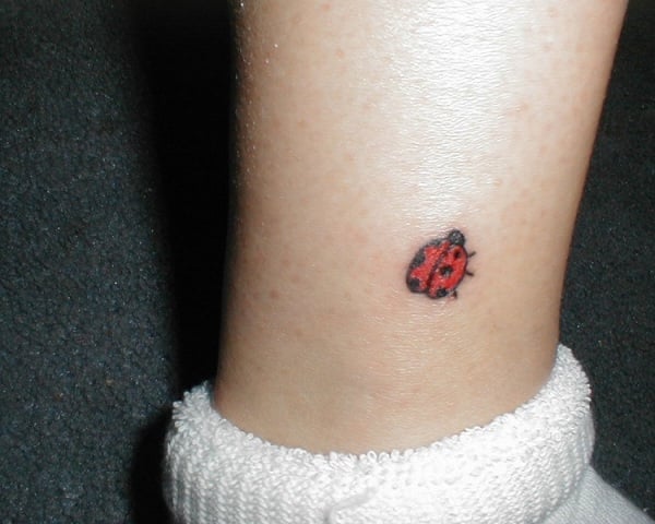 Tiny Fine Line Ladybug Tattoo done Thanks  DM to Book tattoo cute  tattoocute cutetattoo black blacktattoo ladybug fineline  Instagram  post from tattoocute